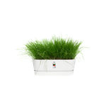 greenville pflanzgefäß lang 50cm weiss